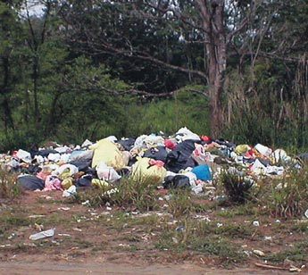 Imagen foto