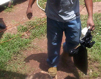 Imagen foto