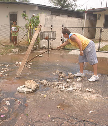 Imagen foto
