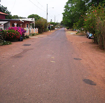 Imagen foto