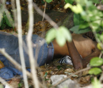 haga click para ampliar la imagen