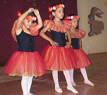 Imagen foto