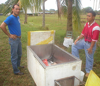 Imagen foto