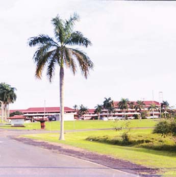 Imagen foto
