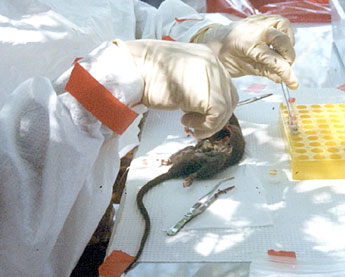 haga click para ampliar la imagen