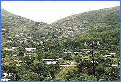 Imagen foto