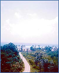 Imagen foto