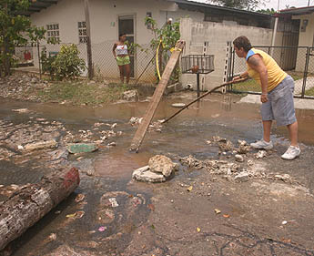 Imagen foto