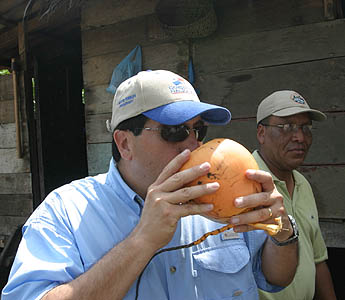Imagen foto