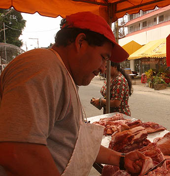 Imagen foto