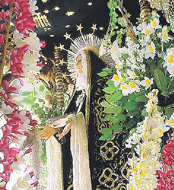 Imagen foto