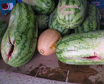 Imagen foto