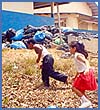 Imagen foto