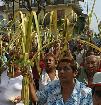 Imagen foto