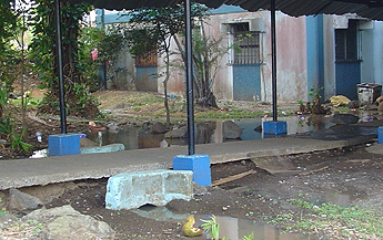 Imagen foto