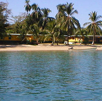 Imagen foto