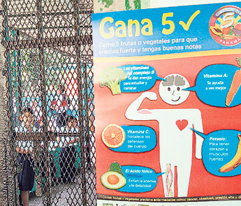 haga click para ampliar la imagen