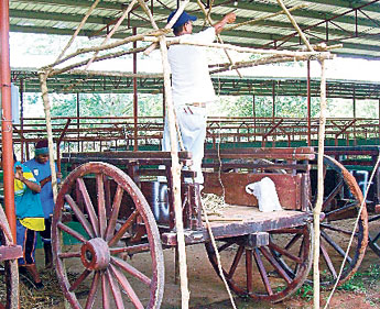 haga click para ampliar la imagen