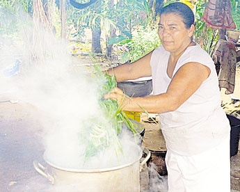 haga click para ampliar la imagen