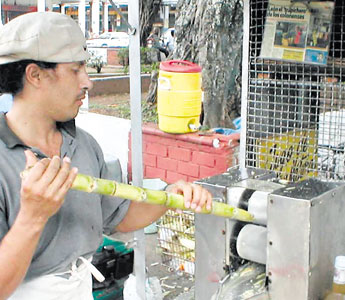 haga click para ampliar la imagen