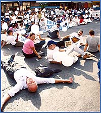 Imagen foto