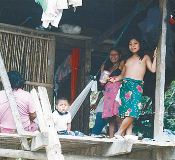 Imagen foto