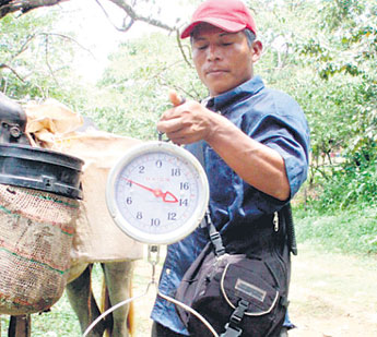 haga click para ampliar la imagen