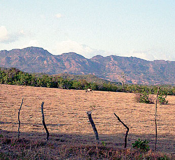 haga click para ampliar la imagen