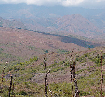 haga click para ampliar la imagen