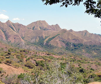 haga click para ampliar la imagen