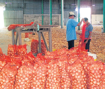 haga click para ampliar la imagen