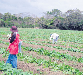 haga click para ampliar la imagen