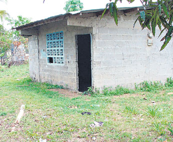 haga click para ampliar la imagen