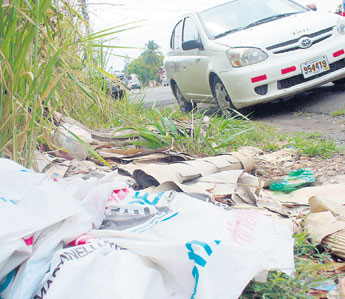 haga click para ampliar la imagen