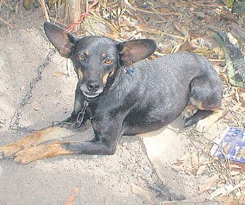 haga click para ampliar la imagen