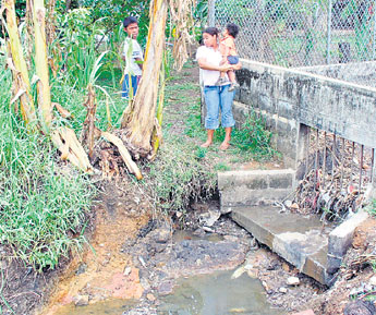 haga click para ampliar la imagen