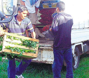 haga click para ampliar la imagen