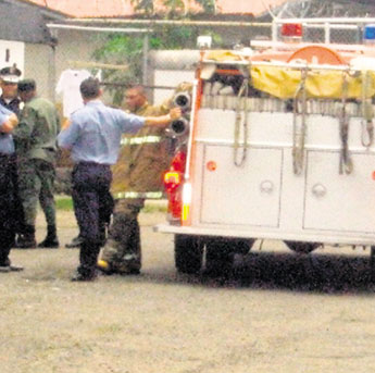 haga click para ampliar la imagen