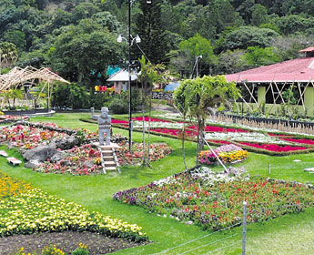 haga click para ampliar la imagen