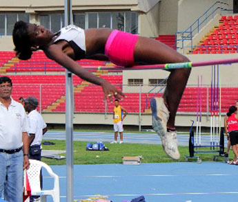 haga click para ampliar la imagen