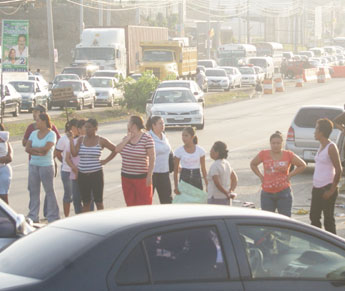 haga click para ampliar la imagen