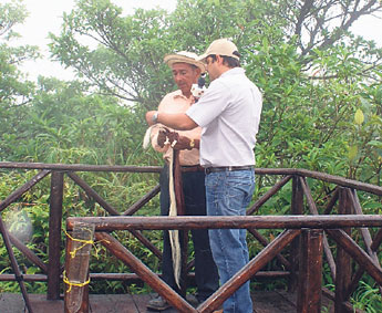haga click para ampliar la imagen
