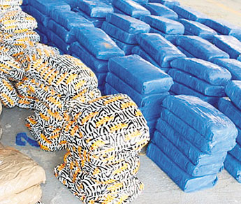 haga click para ampliar la imagen