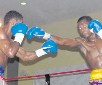 haga click para ampliar la imagen