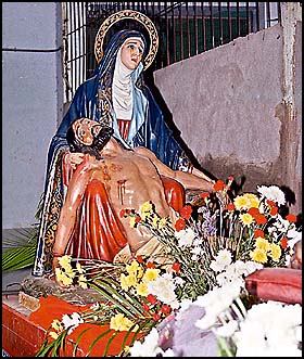 Imagen foto