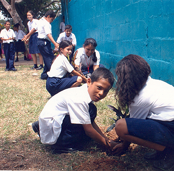 Imagen foto