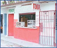 Imagen foto
