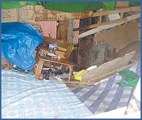 Imagen foto