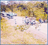 Imagen foto