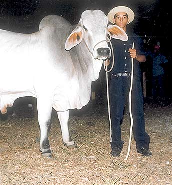Imagen foto